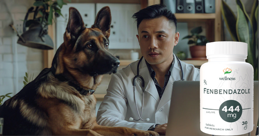 Fenbendazole's Uses in Veterinary Medicine: A Complete Guide